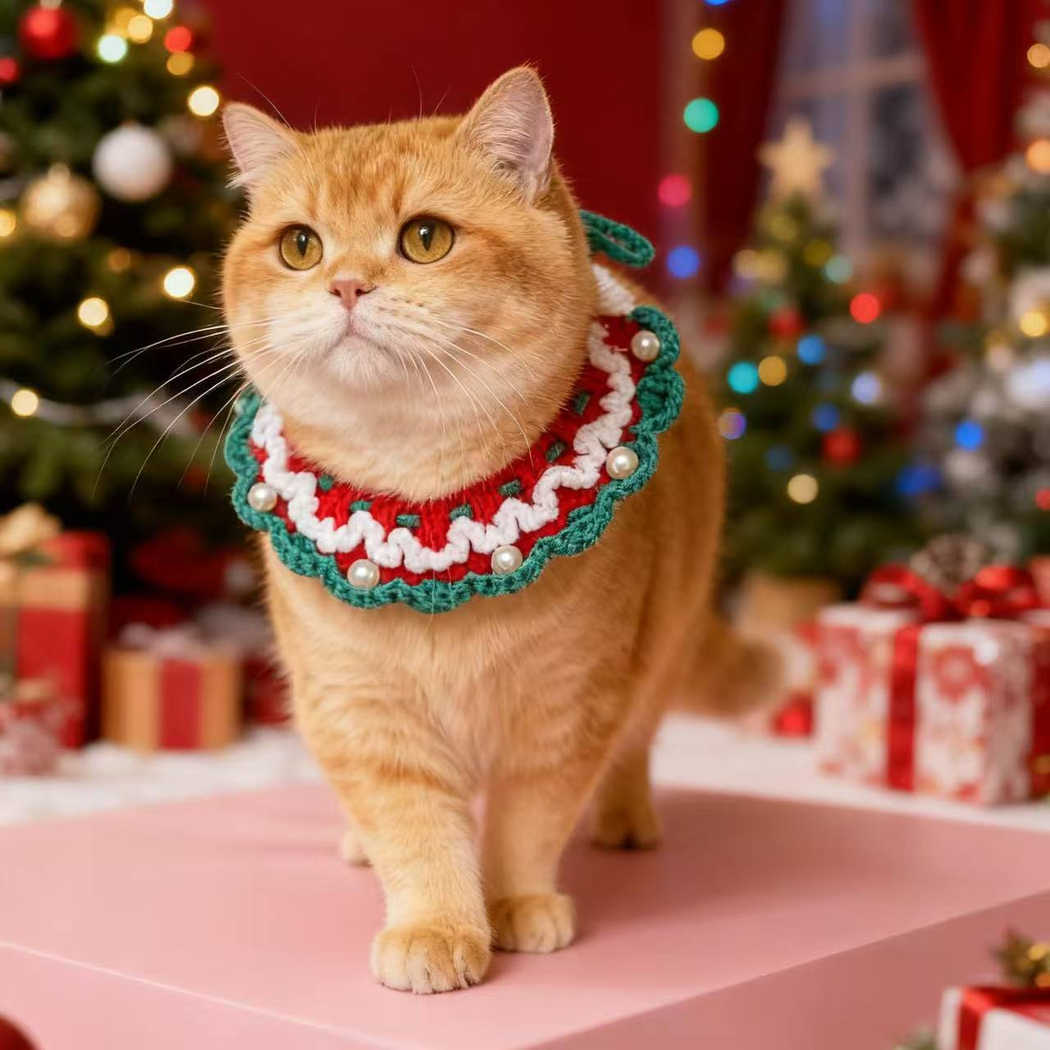Orange cat wearing Pearl pet neckwear with scalloped trim and pearl-look accents
