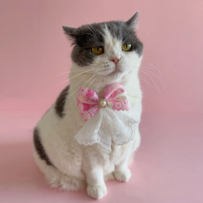 Cat wearing pink bow pet neckwear with white lace-look tails