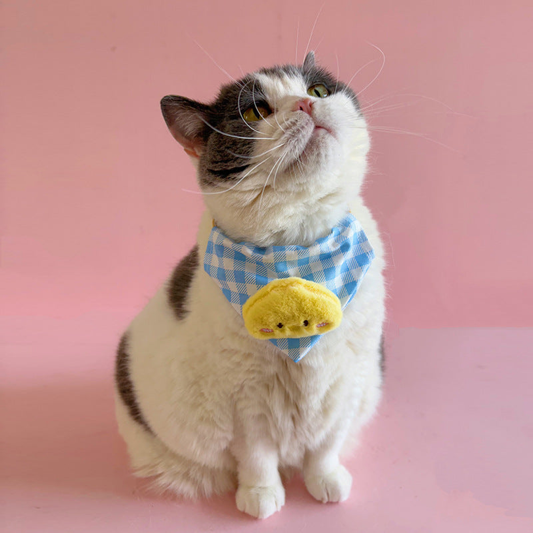 Blue checked pet neckwear with Chick appliqué worn by a cat