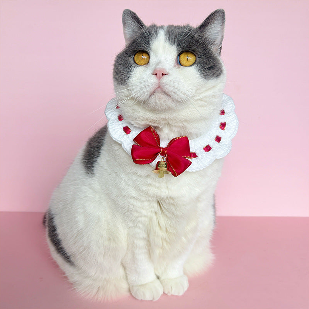 White pet neckwear with red bow and bell worn by a gray and white cat