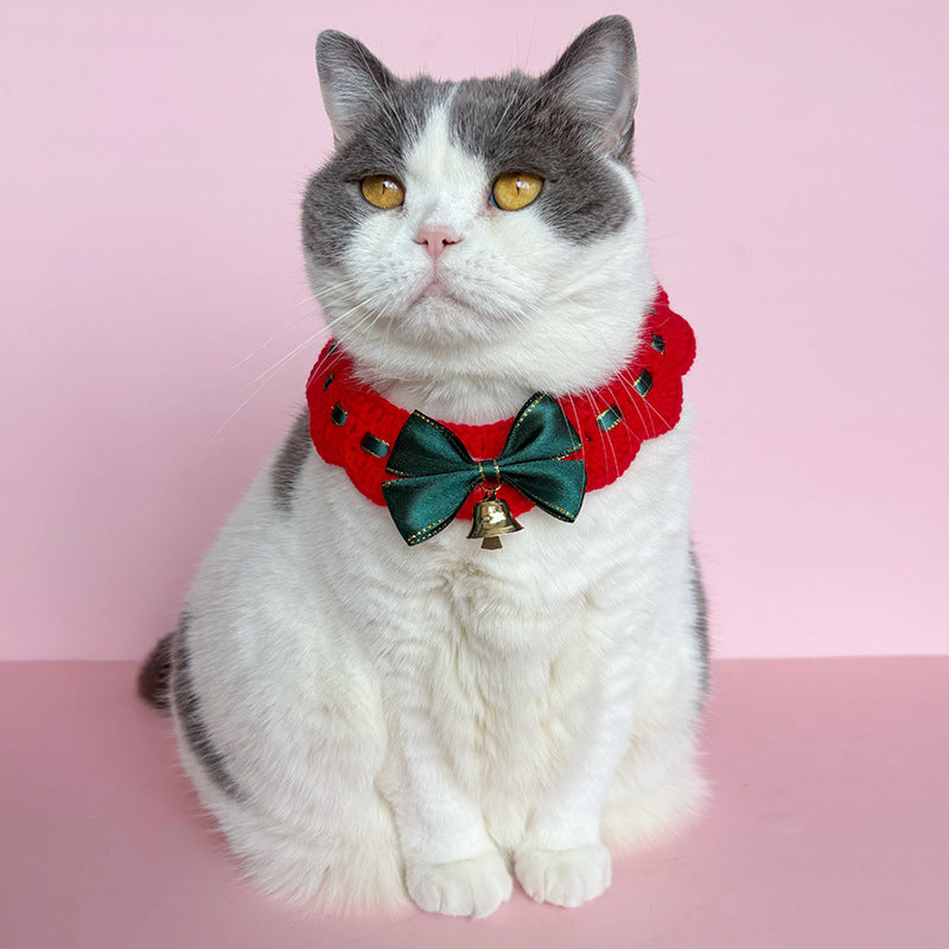Red pet neckwear with dark green bow and bell worn by a gray and white cat