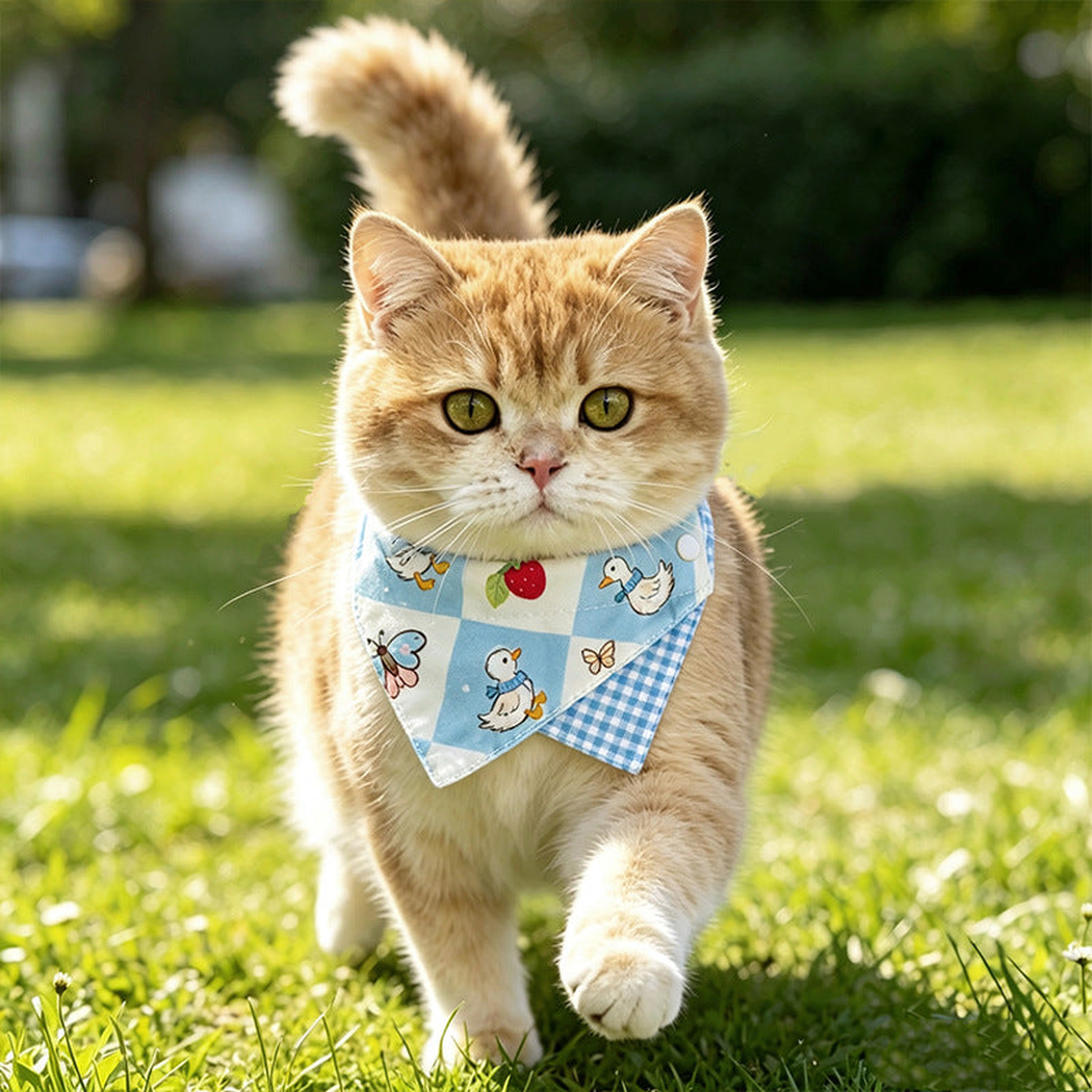 Cat wearing light blue duck and strawberry pet neckwear outdoors