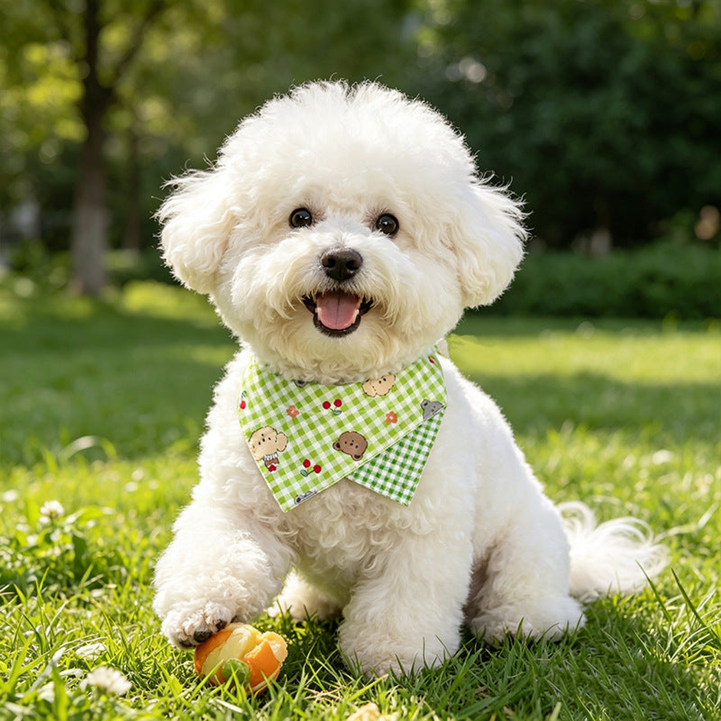 Green check pet neckwear worn by a dog outdoors