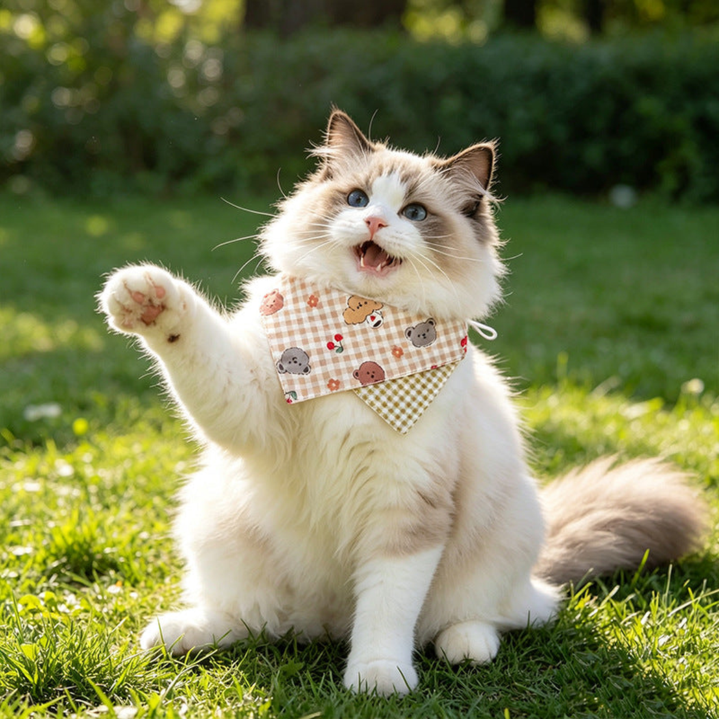 Khaki check pet neckwear worn by a cat outdoors