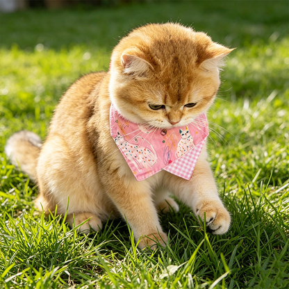 Pink doodle cat pet neckwear worn by an orange cat outdoors