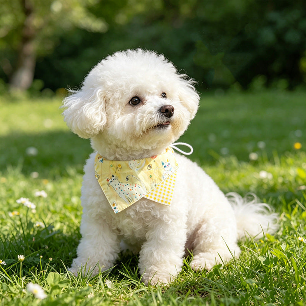 Yellow doodle cat pet neckwear worn by a white dog outdoors