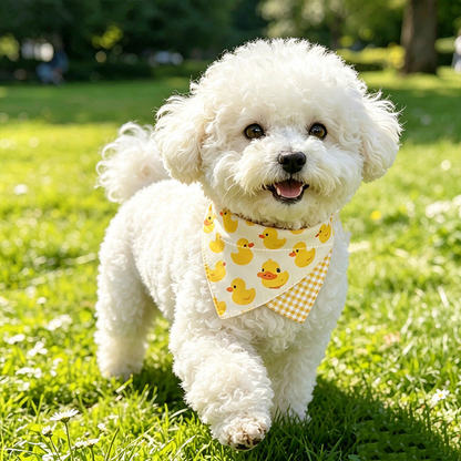 Duck pet neckwear worn by a white curly-coated dog outdoors