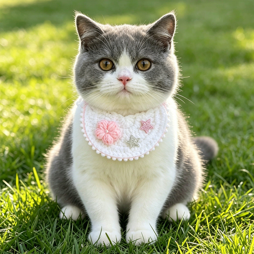 Pink pet neckwear with flower and star accents worn by a gray-and-white cat outdoors