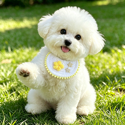 Yellow pet neckwear with flower and star accents worn by a white dog outdoors