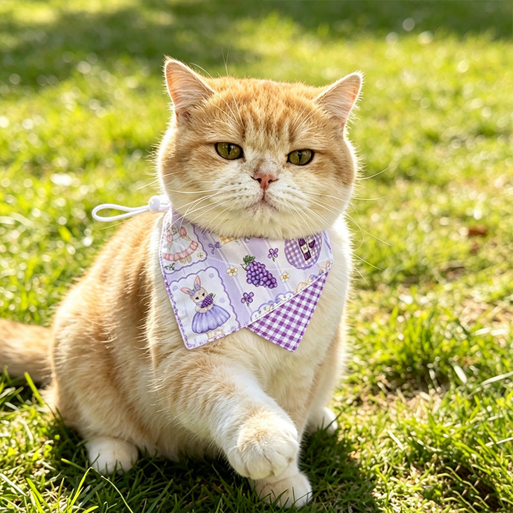 Orange and white cat wearing the Rabbit style pet neckwear outdoors