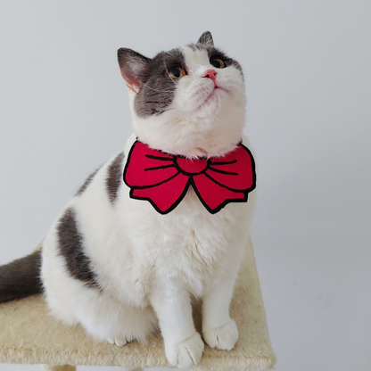 Gray-and-white cat wearing red bow cat neckwear