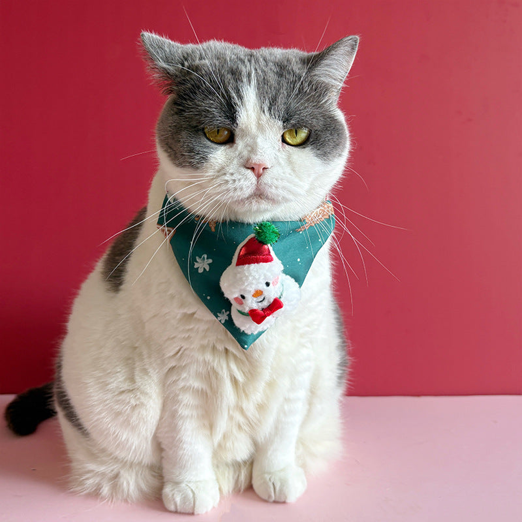 Cat wearing teal snowman pet neckwear with a triangular front panel