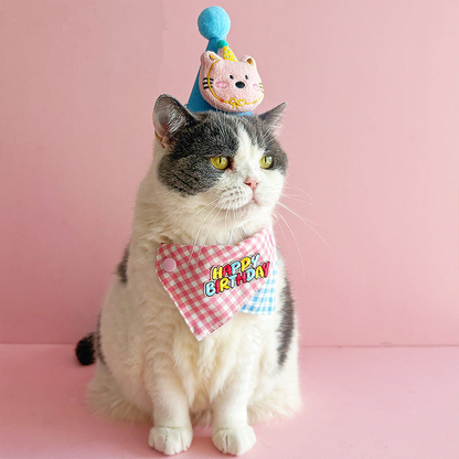 Cat wearing a pink gingham birthday bandana and blue character hat