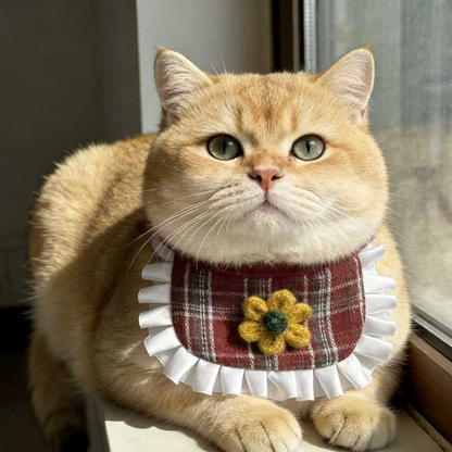 Flower style burgundy plaid pet neckwear worn by a golden cat near a window