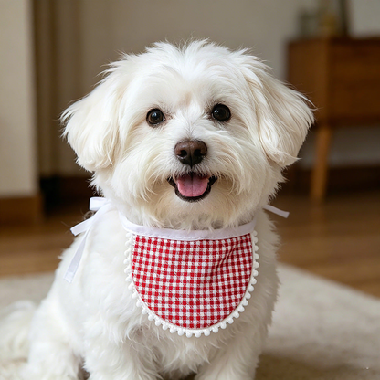 White dog wearing Red gingham Pet Neckwear with white pom-pom edging indoors.
