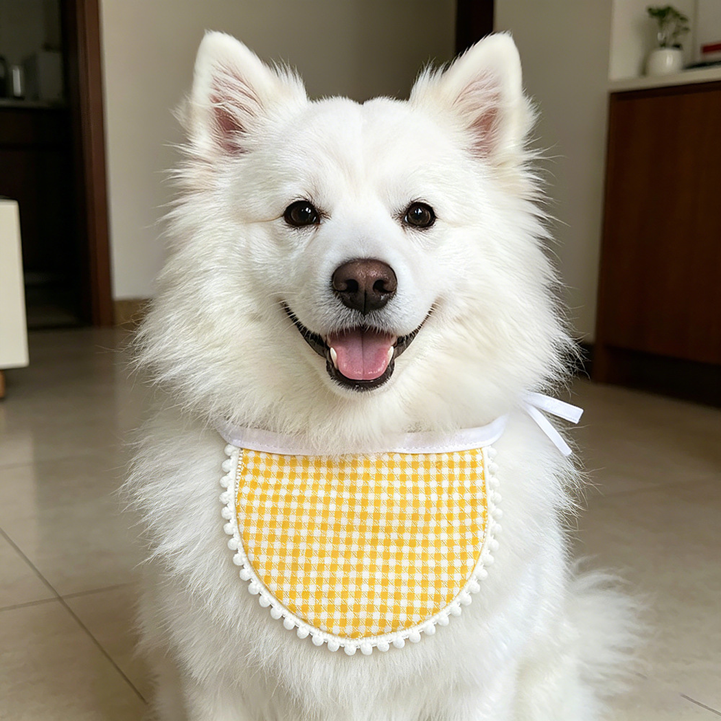 White dog with upright ears wearing Yellow gingham Pet Neckwear indoors.