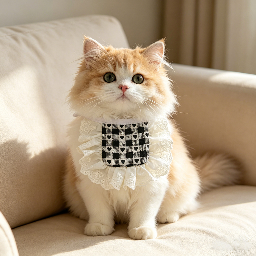 Orange-and-white cat wearing Square heart-check Pet Neckwear with white ruffled lace-look trim on a cream sofa.