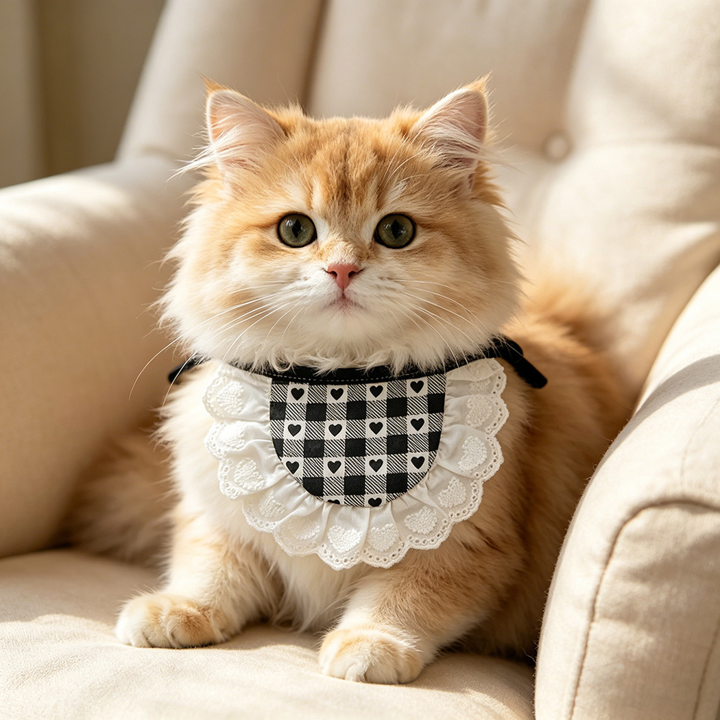 Orange-and-white cat wearing Semicircular heart-check Pet Neckwear with a black tie and white scalloped lace-look trim.