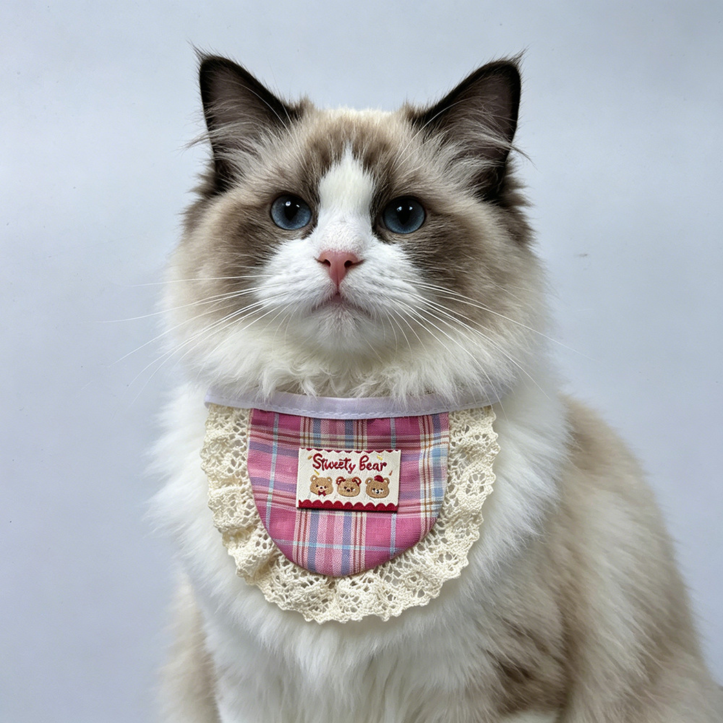 Cat wearing Bears Cat Neckwear with a plaid front and scalloped cream trim around its neck.