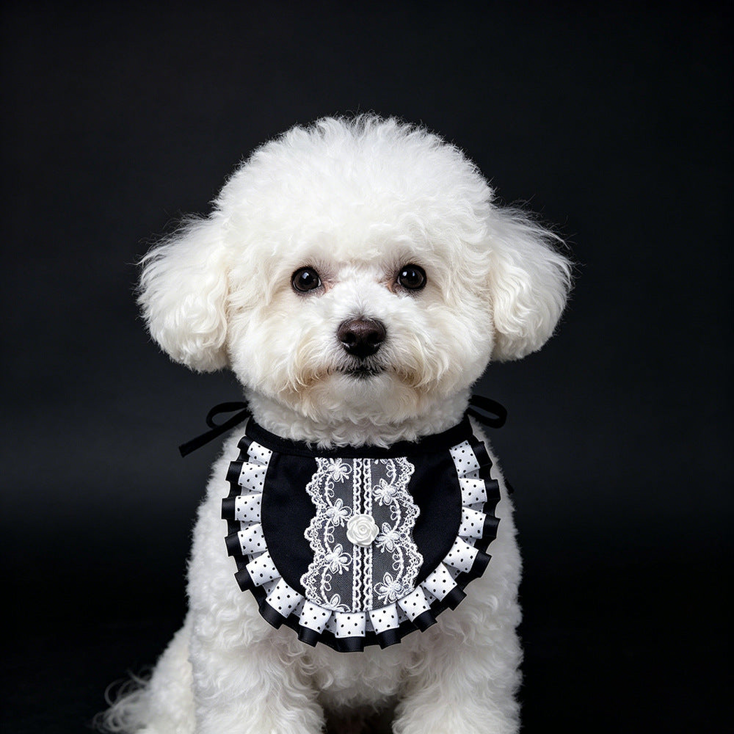 White dog wearing black bib-style pet neckwear with a floral lace-look panel and ruffled border