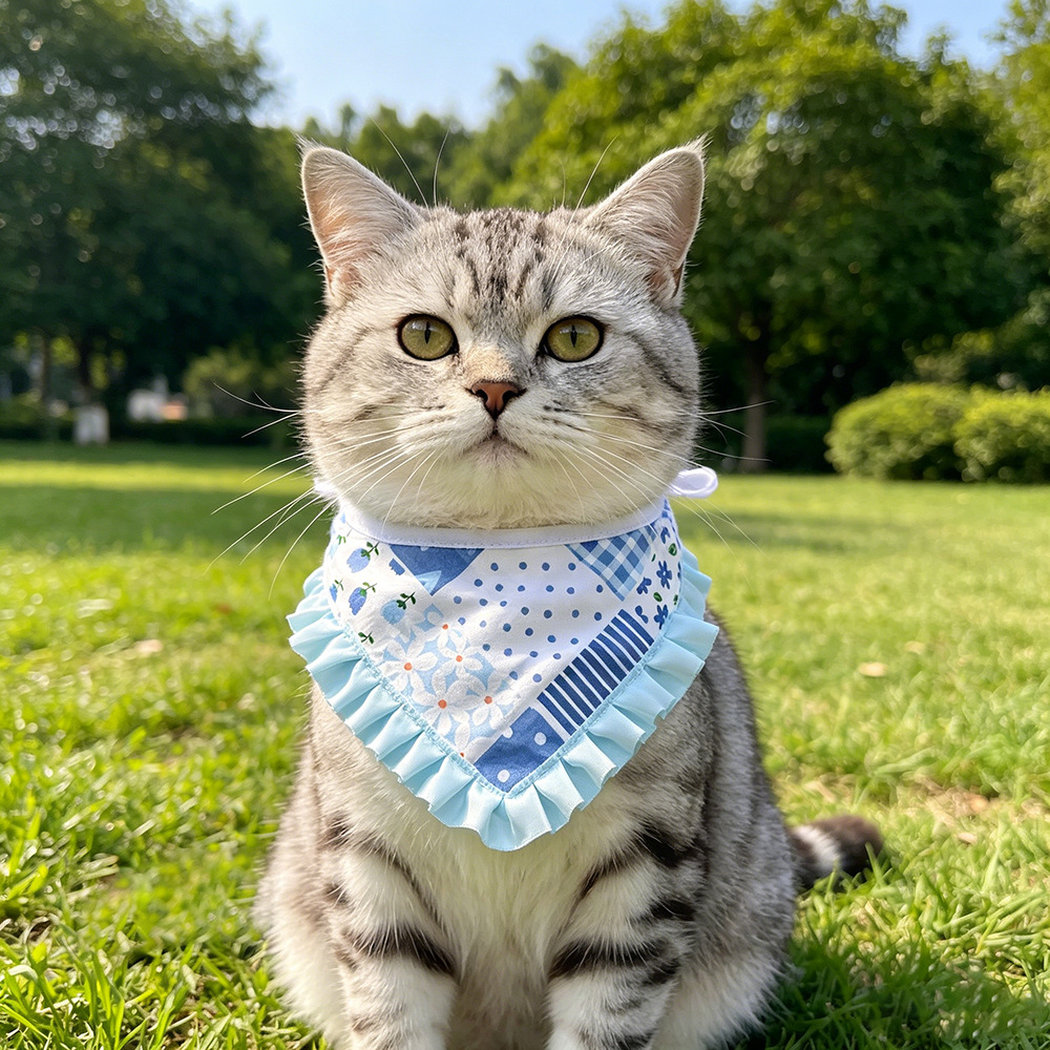 Tabby cat wearing blue tie bandana pet neckwear outdoors