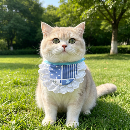 Cream cat wearing blue lace-look bib pet neckwear outdoors