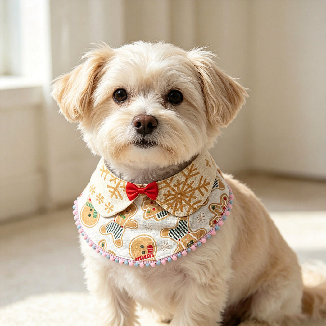 Cream-colored dog wearing Light Bib pet neckwear with snowflake lapels and pastel pom-pom trim.