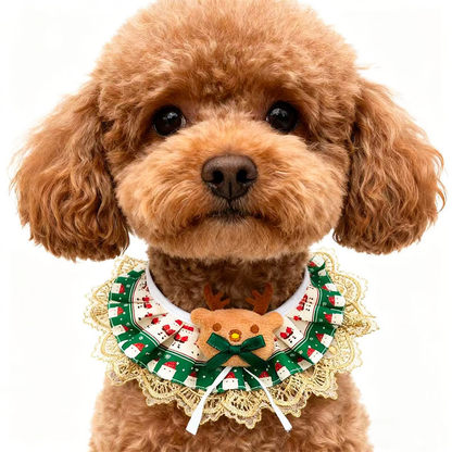 Brown curly-haired dog wearing Green Reindeer pet neckwear with a green bow and gold-tone lace-look edging.