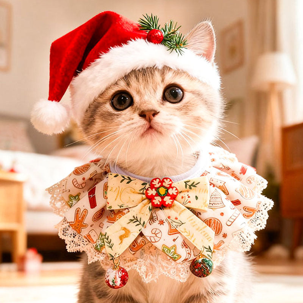 Cat wearing Cream / Red Pet Neckwear and a red hat, with a close view of the bow, lace-look edging and dangling ornaments.