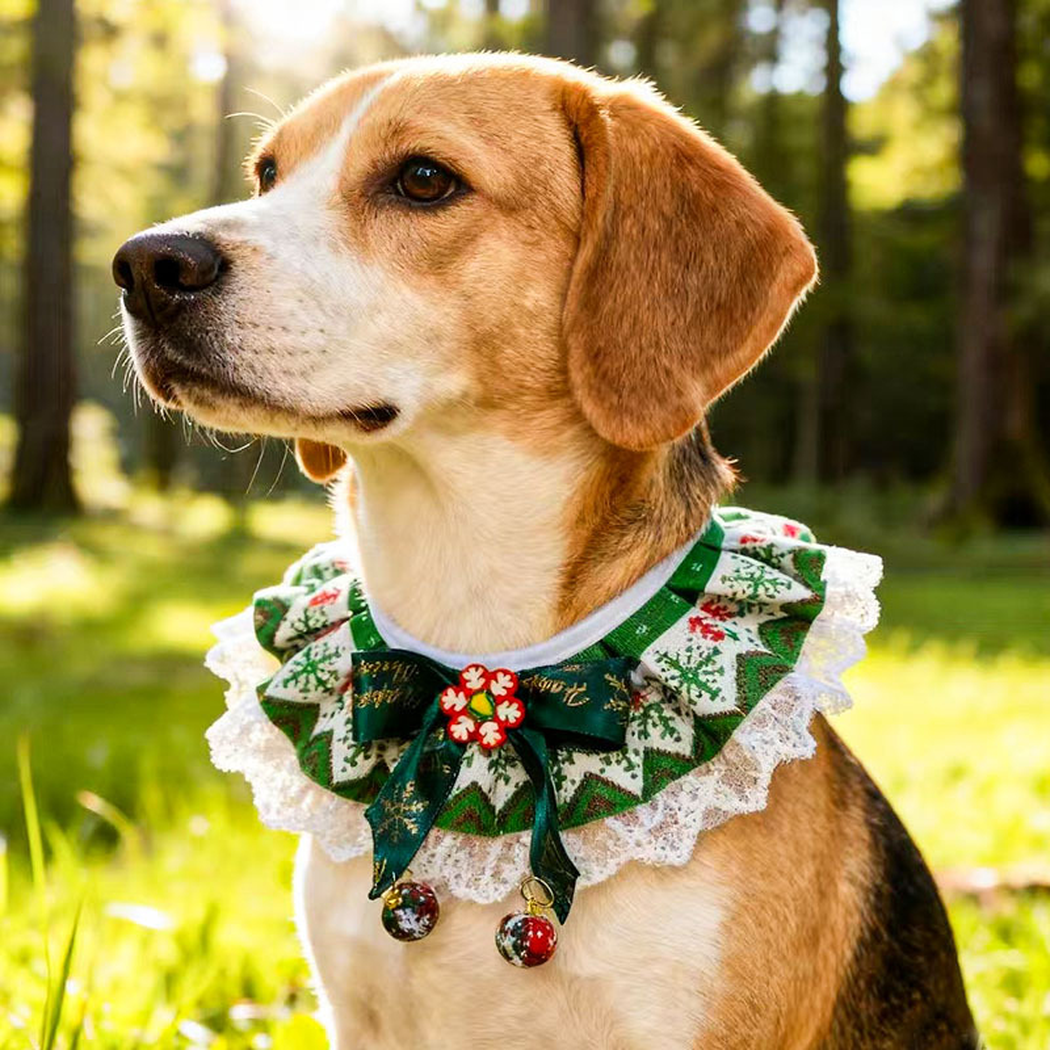 Dog wearing Green / Red Pet Neckwear outdoors, viewed at an angle with the ruffled edge, front bow and dangling ornaments visible.