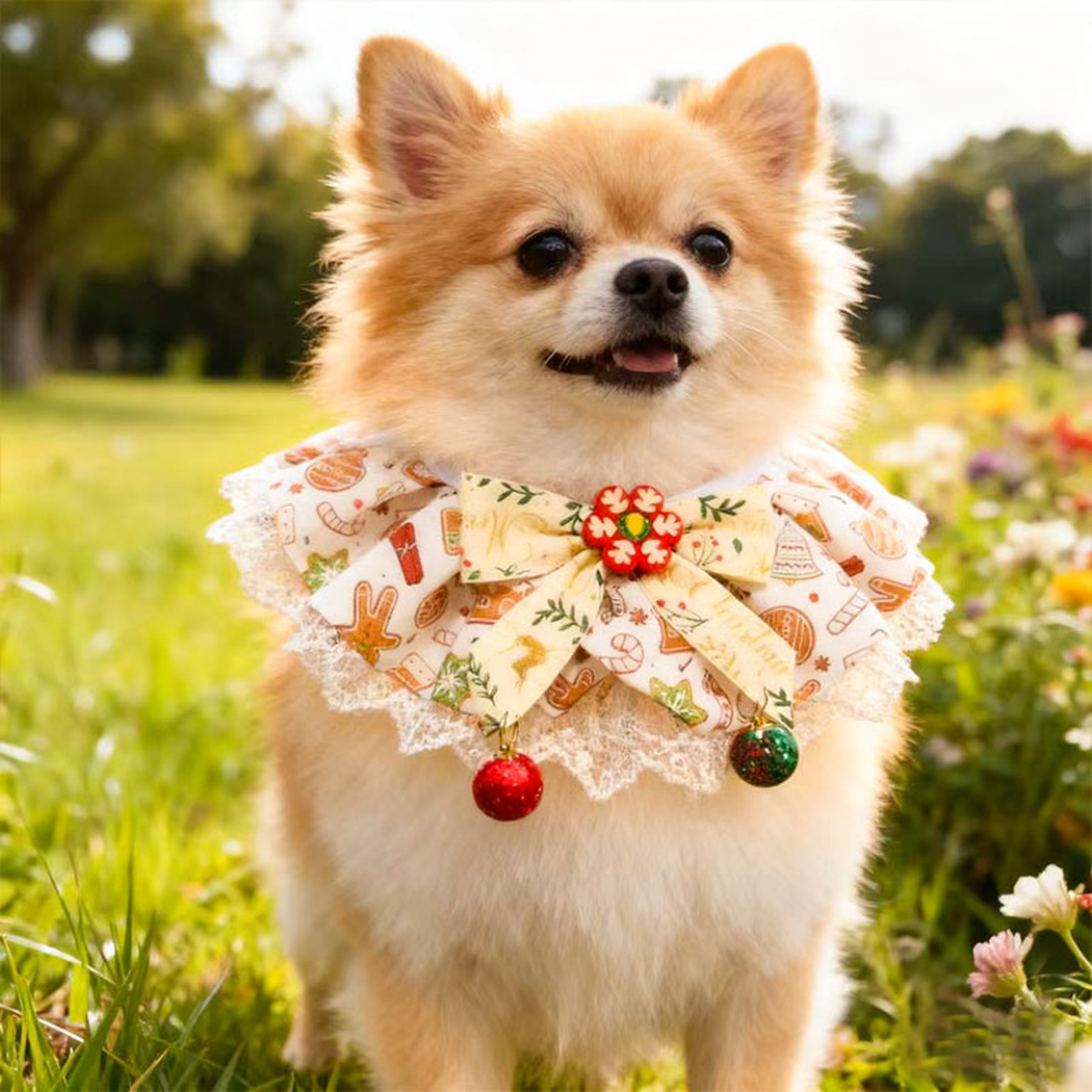 Dog standing in grass wearing Cream / Red Pet Neckwear, with a cream bow, printed ruffles and red and green dangling ornaments.