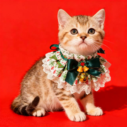 Seated tabby kitten wearing Bells pet neckwear with a dark green bow and lace-look edge