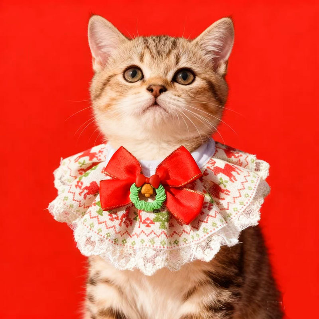 Cat wearing Wreath pet neckwear with a red bow and broad ruffled lace-look edge