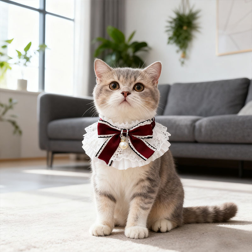 Gray tabby cat wearing Burgundy bow Cat Neckwear with white lace ruffles in front of a sofa