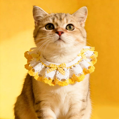 Cat wearing Yellow and white ruffled pet neckwear with gingham bows against a yellow background.
