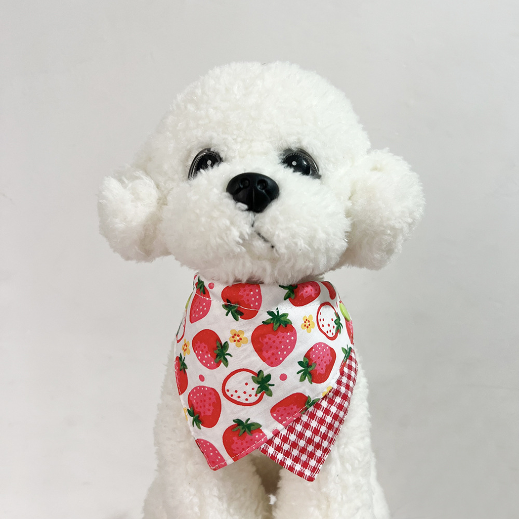 White plush dog wearing Red Bib Pet Neckwear with a strawberry front panel overlapping red gingham.