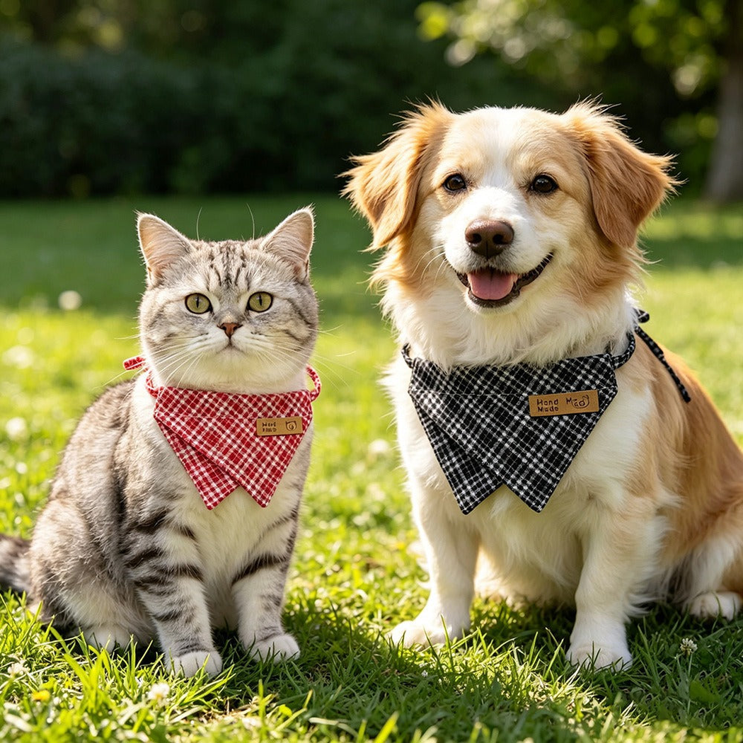 Cat and dog wearing red and black checked bib-style pet neckwear on grass.
