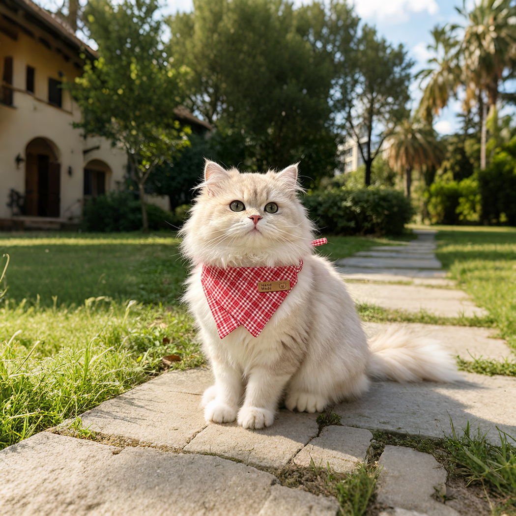 Cream-colored cat wearing red checked bib-style pet neckwear on a garden path.