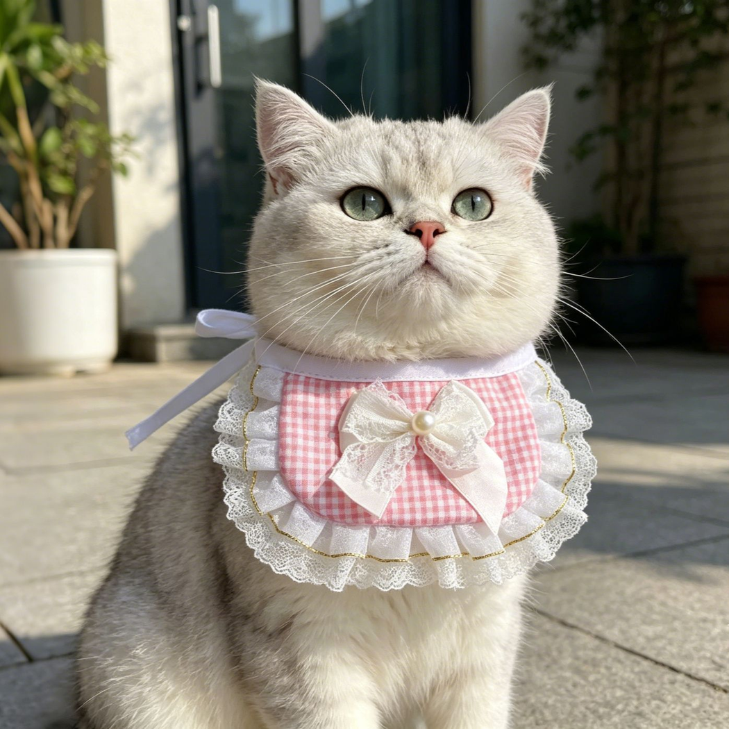 Cat wearing pink gingham pet neckwear with a white bow and layered lace-look edging outdoors.
