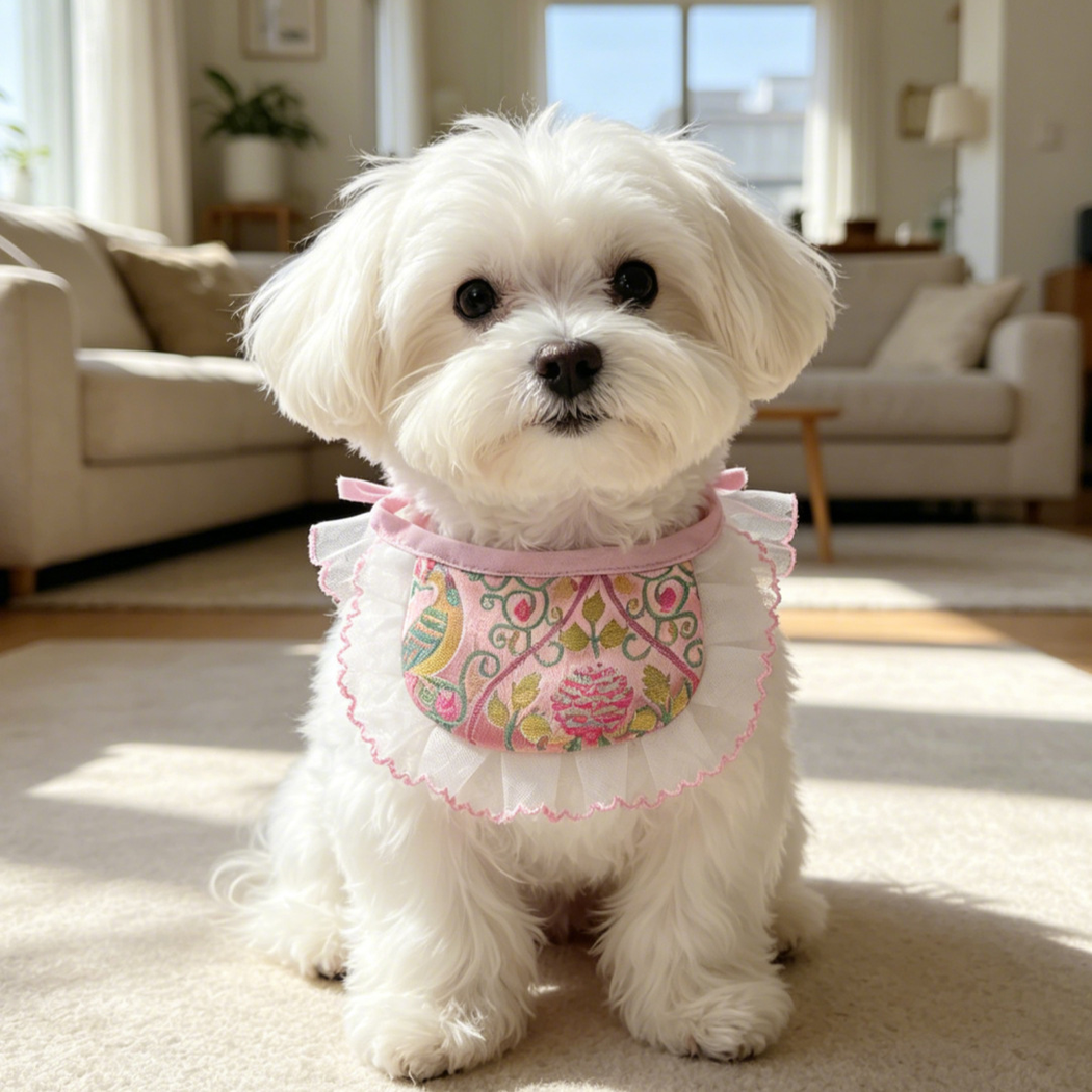 White dog wearing Pink Narrow pet neckwear with a floral bib and white ruffle in a living room.