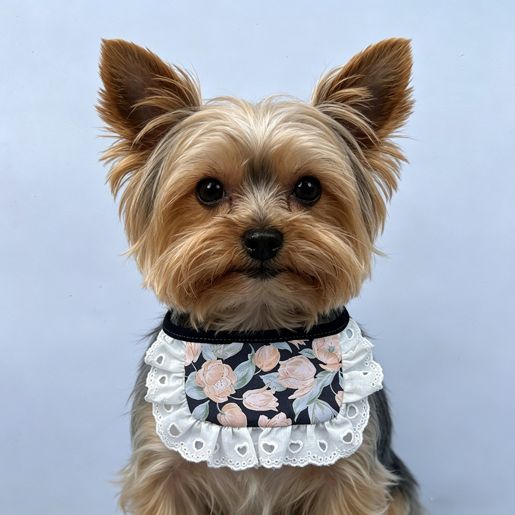 Tan and gray dog wearing Wide floral Pet Neckwear with white eyelet ruffles against a plain background.