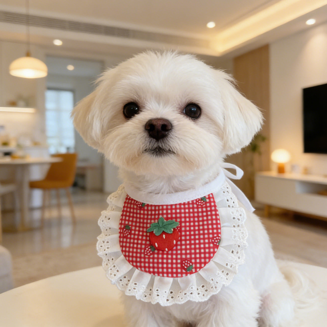 White dog wearing rounded strawberry gingham pet neckwear with white eyelet ruffles.