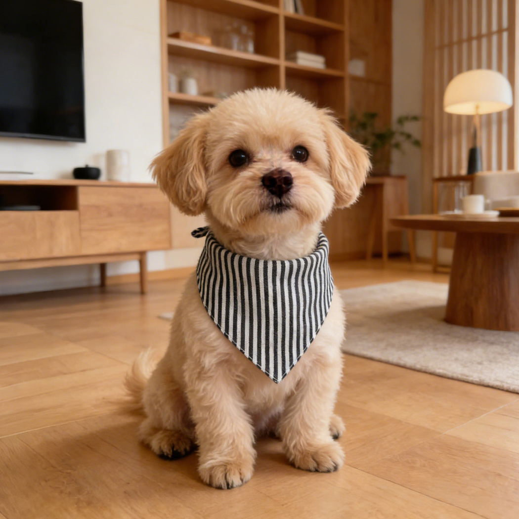 Tan dog sitting indoors wearing black and white striped pet neckwear with a triangular front.