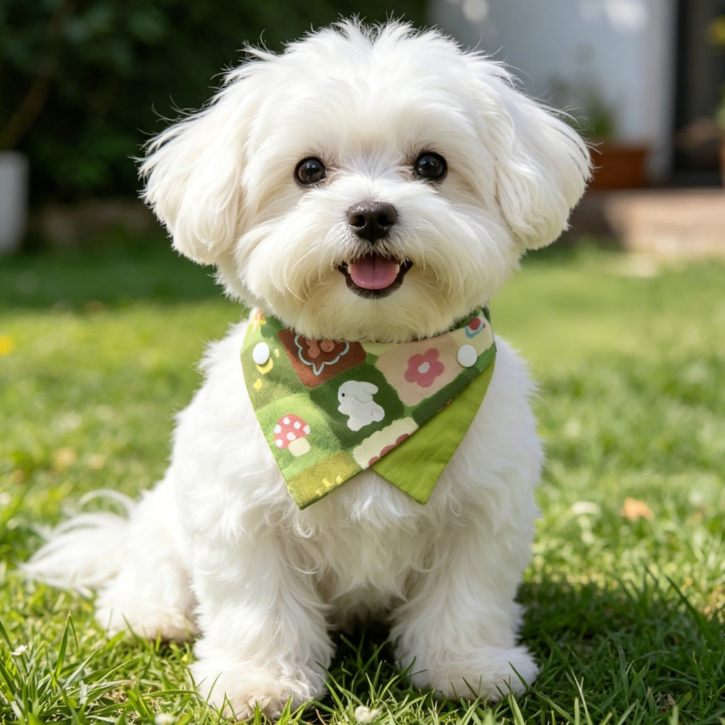 White dog wearing Green Rabbit Pet Neckwear on grass.