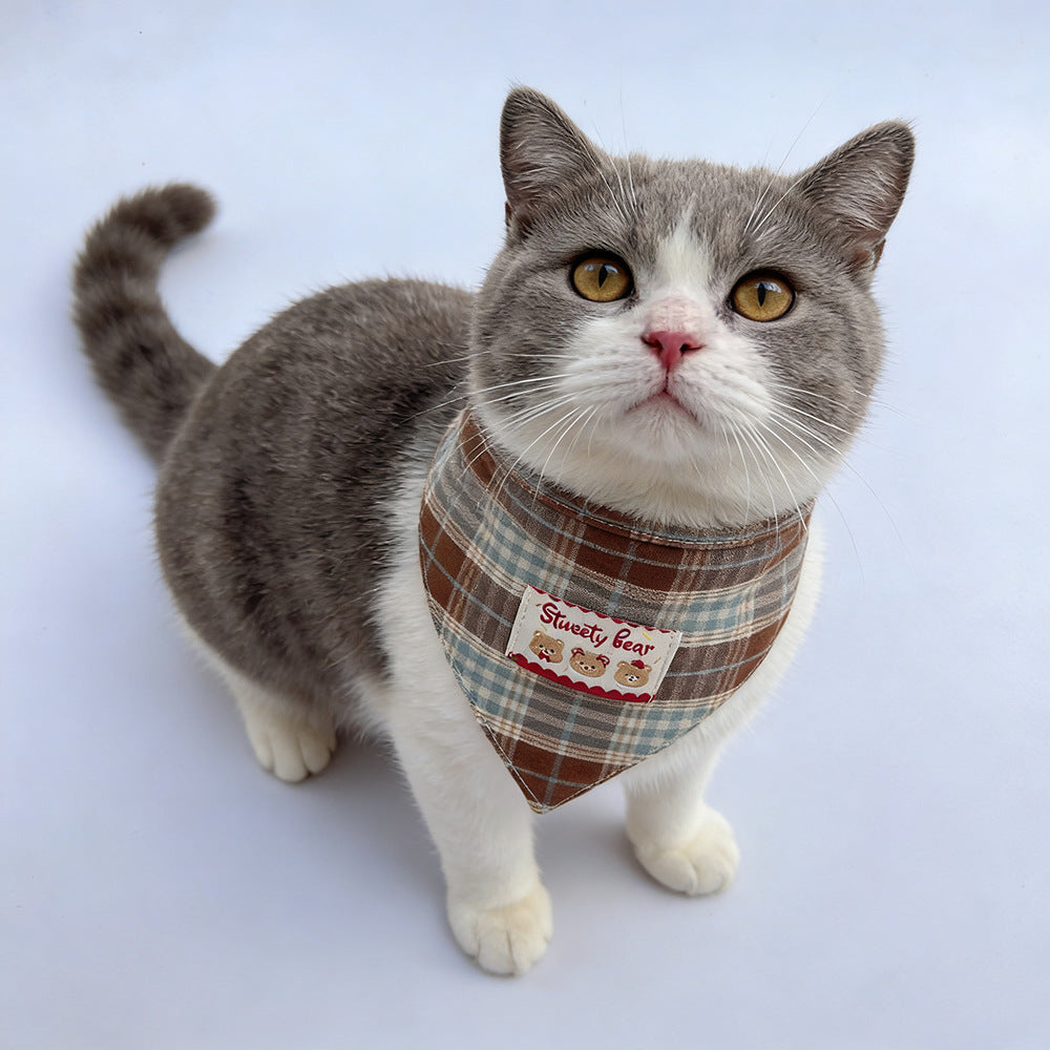 Gray and white cat wearing Brown plaid Pet Neckwear with a bear patch.