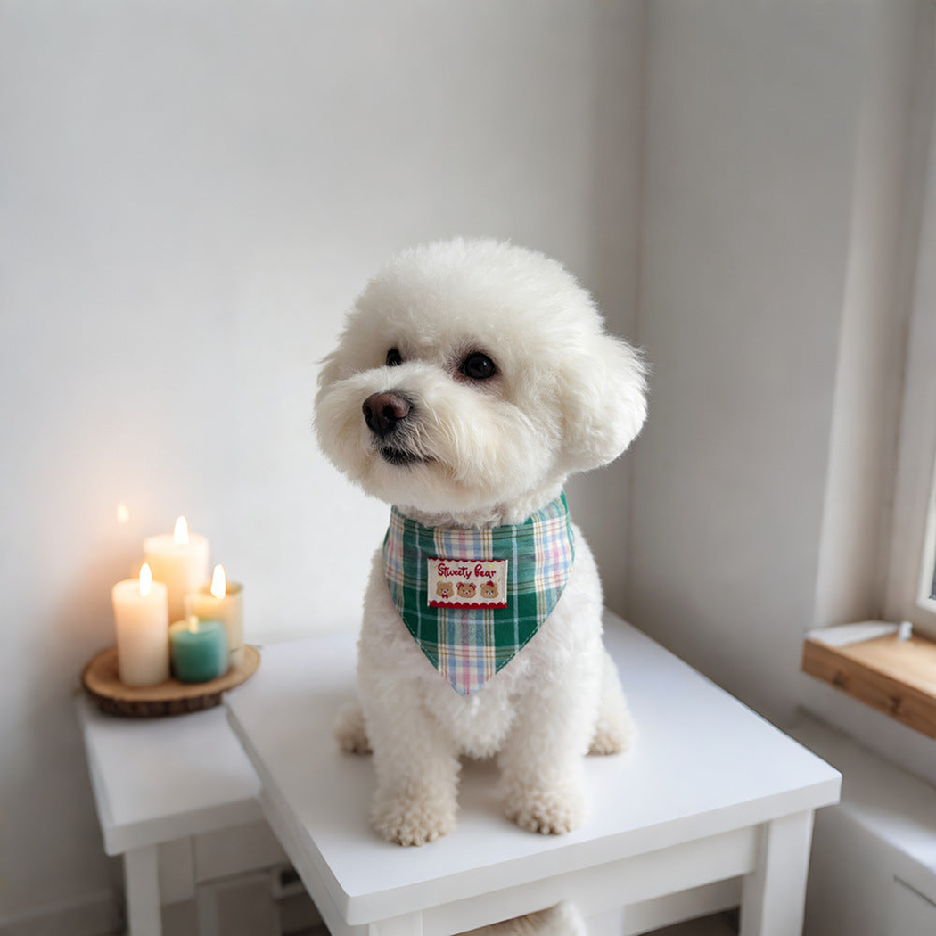 White dog wearing Green plaid Pet Neckwear while sitting on a table beside a window.
