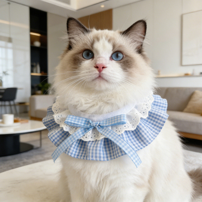 Long-haired cat wearing Light Blue gingham Pet Neckwear with white lace-look ruffles and a bow.