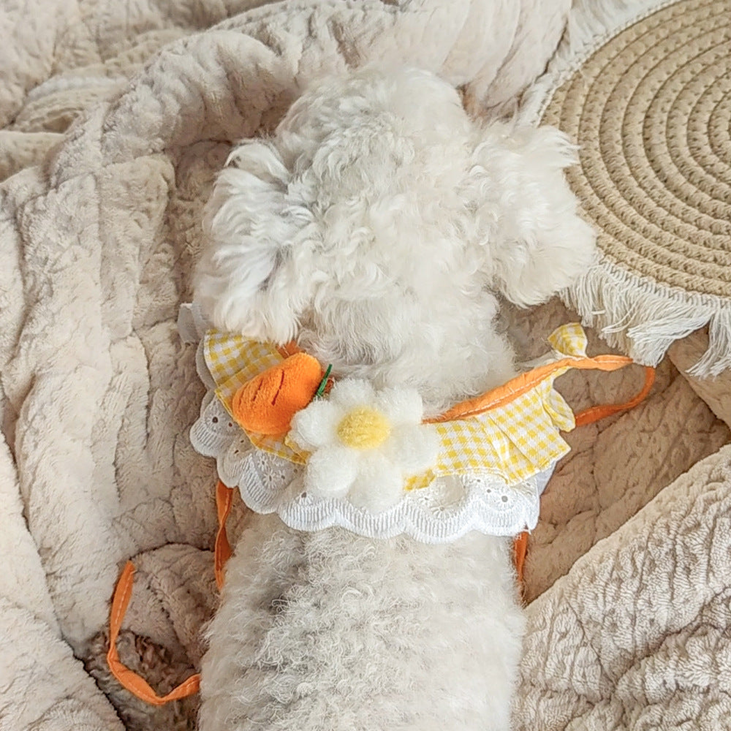 White dog wearing Carrot Pet Neckwear with yellow gingham ruffles and a white flower.