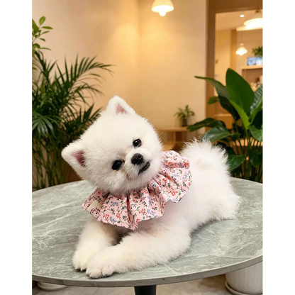 White dog wearing Light Pink floral ruffled pet neckwear while lying on a round table with its head tilted.