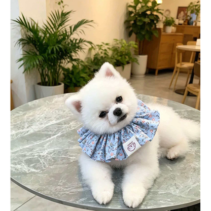 White dog wearing Light Blue floral ruffled pet neckwear while lying on a round table among indoor plants.